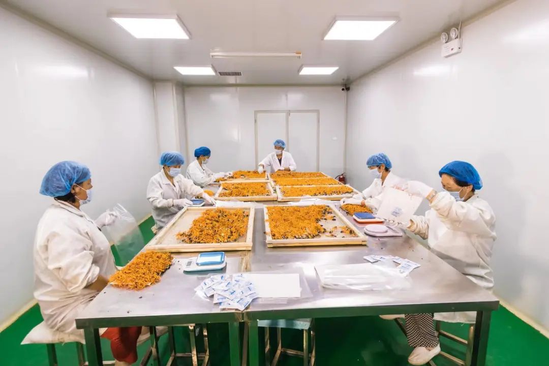 1668443856256254.jpg 640.jpg