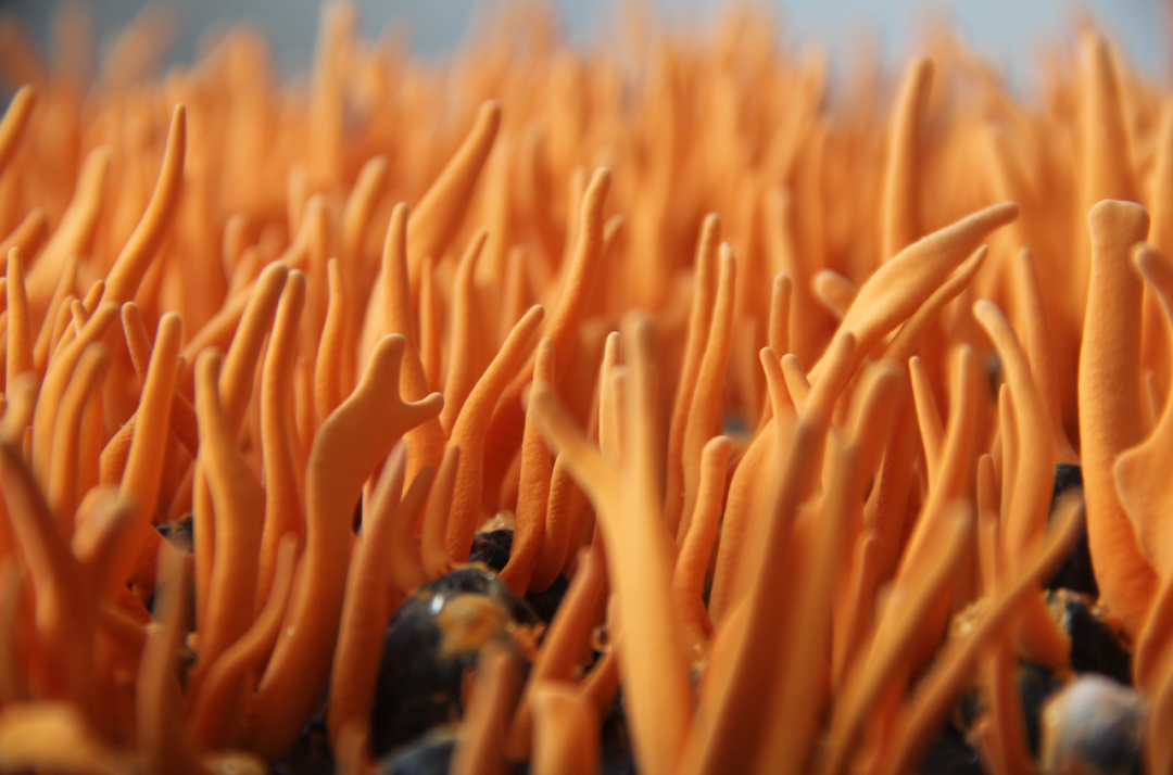 1668443991122248.png 640 (2).png