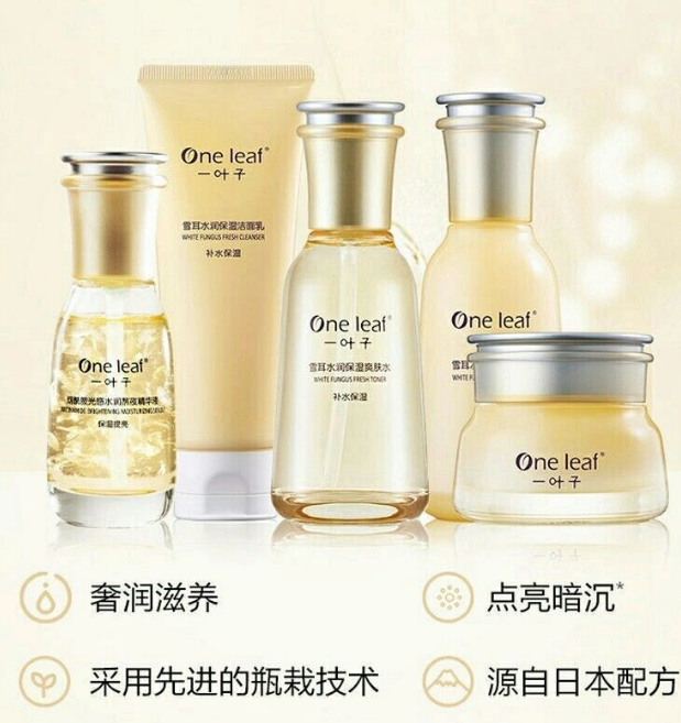 1733813009139504.png image.png