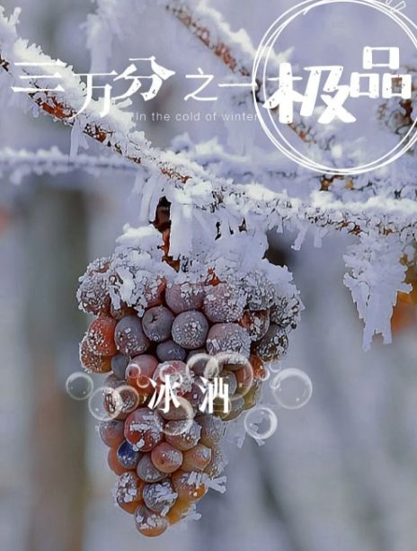 1733814386460138.png image.png