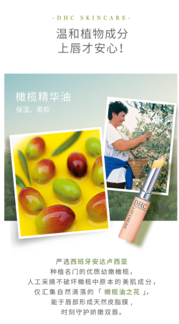 1734403518501707.png image.png