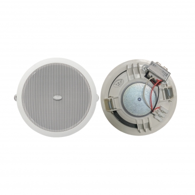 Ceiling Speaker