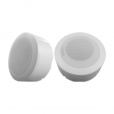 Wall Mounted  speaker