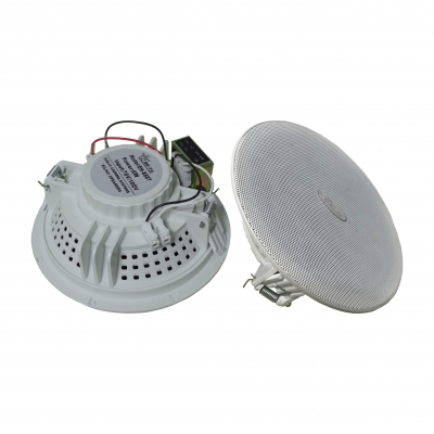 Ceiling Speaker (constant pressure)
